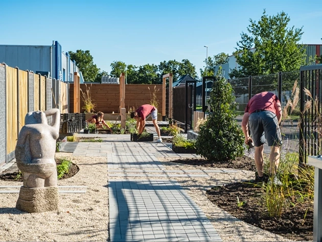 Steenhandel nabij Drachten