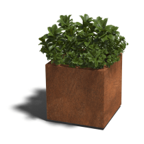 Cortenstaal gelaste plantenbak Montana 50x50x50 cm