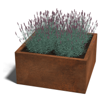 Cortenstaal plantenbak Miami 80x80x30 cm