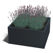 Gepoedercoat staal plantenbak Miami 60x60x30 cm ( RAL7016 )