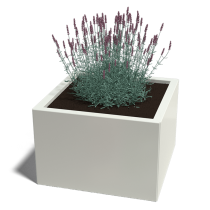 Gepoedercoat staal plantenbak Miami 60x60x30 cm ( RAL9010 )