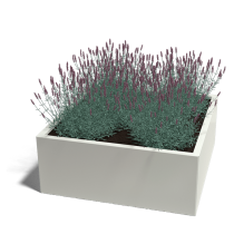 Gepoedercoat staal plantenbak Miami 100x100x60 cm ( RAL9010 )