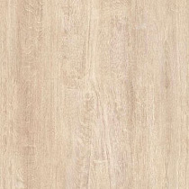 GeoCeramica® 120x30x4 Havanna Wood