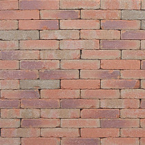 Clayville Hasselt WF 200x48x60 mm getrommeld