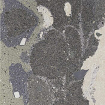Lithops 50x100x2 cm lipan stamp