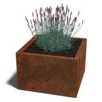 Cortenstaal plantenbak 60x60x30 cm