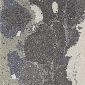 Lithops 50x100x2 cm lipan stamp