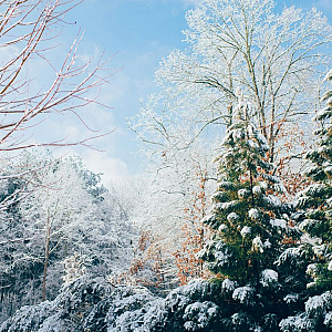 6867 kerstmis 13422