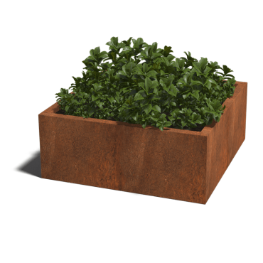 Cortenstaal gelaste plantenbak Montana 100x100x40 cm