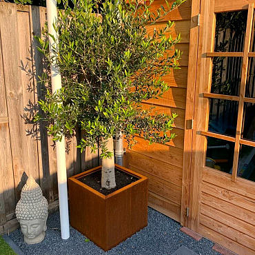 Cortenstaal plantenbak Miami 50x50x80 cm