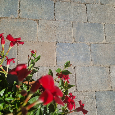 Stonique trommel 20x30x6 cm musselkalk