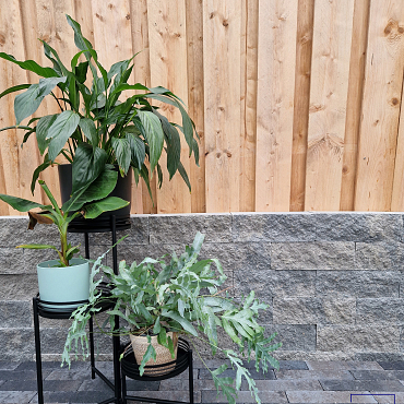 Splitrock 32x13x11 cm 2.0 concrete