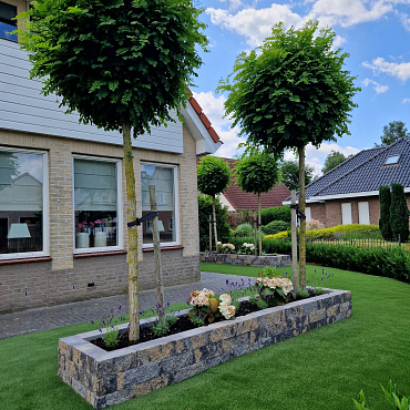 Splitrock 32x13x11 cm 2.0 musselkalk