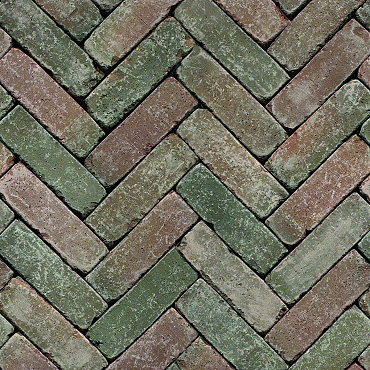 Classica Novoton WS UDF65