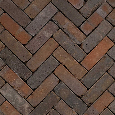 Classica Gasol WS DF