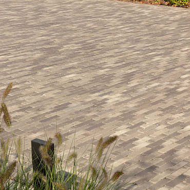 Gebakken Lotis UWF60 waalformaat