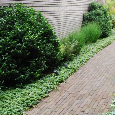 Gebakken Pastorale UWF60 waalformaat