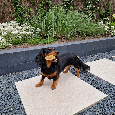 SolidSquare keramisch 60x60x3 cm limerock greige