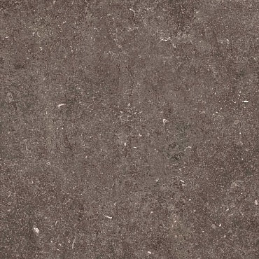 GeoCeramica® 80x80x4 Norw. Stone Dark