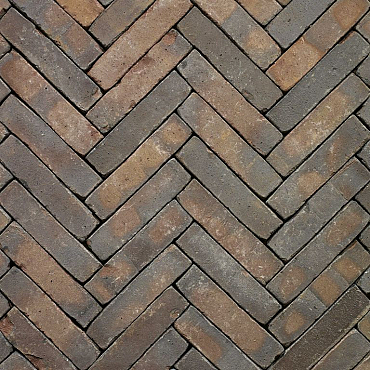 Classica Oliva WS WF80