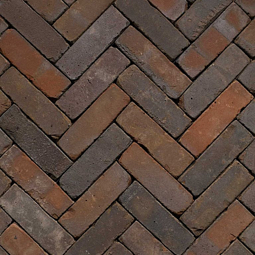 Classica Gasol WS DF