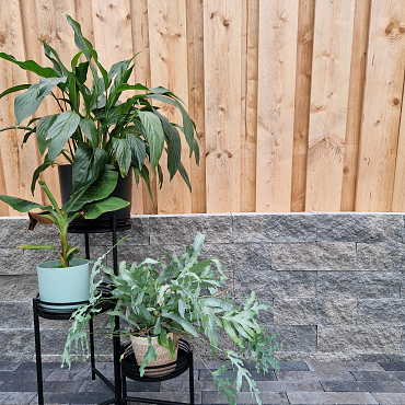 Splitrock 32x13x11 cm 2.0 concrete