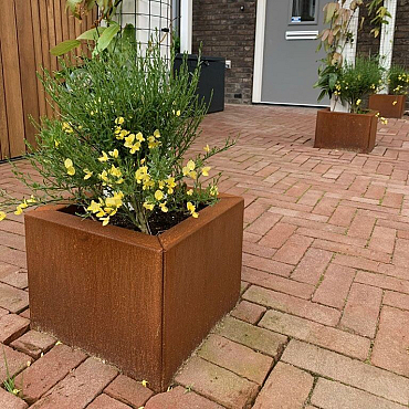 Cortenstaal plantenbak Miami 30x30x40 cm