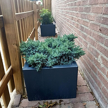 Gepoedercoat staal plantenbak Miami 50x50x40 cm ( RAL7016 )