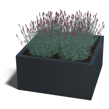 Gepoedercoat staal plantenbak Miami 80x80x30 cm ( RAL7016 )