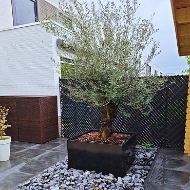 Gepoedercoat staal plantenbak Miami 120x120x30 cm ( RAL9005 )