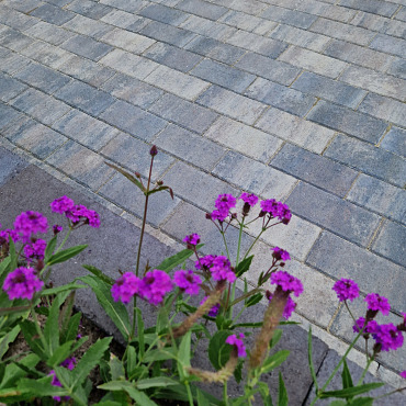 Patio betonstraatsteen 6 cm ocean TOP mini facet komo
