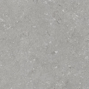Robusto Ceramica 3.0 Shellstone Grigio 60x60x3