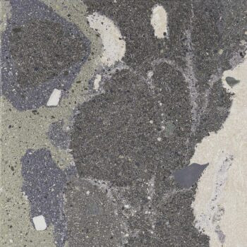 Lithops 50x100x2 cm lipan stamp