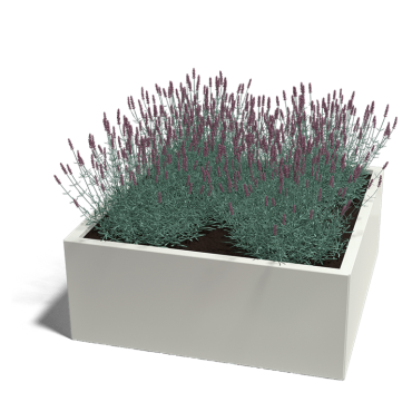 Gepoedercoat staal plantenbak Miami 120x120x40 cm ( RAL9010 )