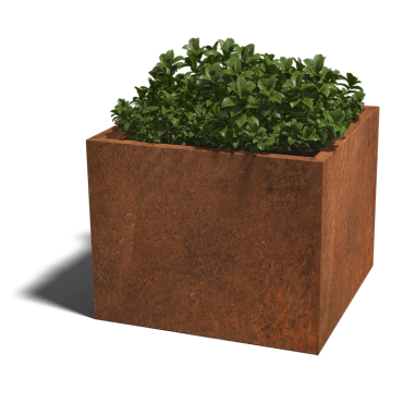 Cortenstaal gelaste plantenbak Montana 100x100x80 cm