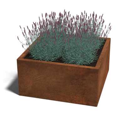 Cortenstaal plantenbak Miami 80x80x30 cm
