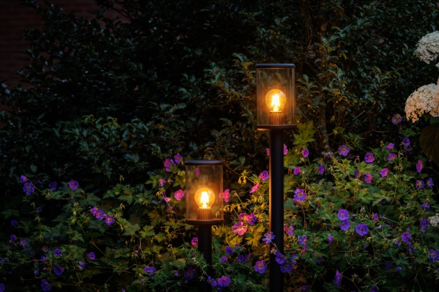 Lightpro Eros Hi