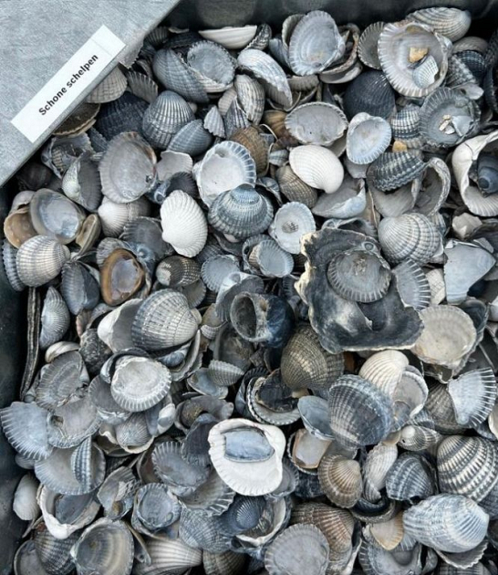 Schone Schelpen 0,7 m3 (opslag Stenekes)