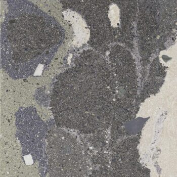 Lithops 50x100x2 cm lipan stamp