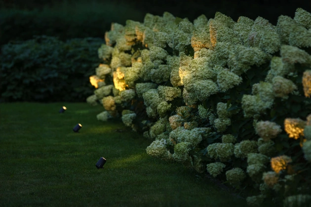 Lightpro Castor 4