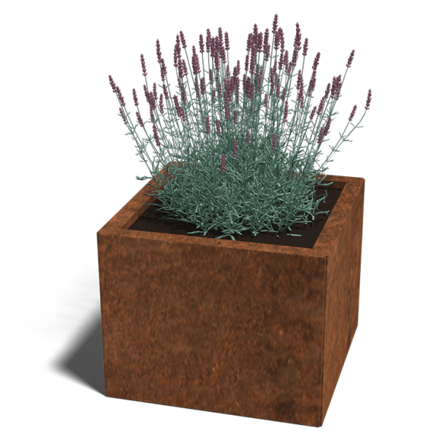 Cortenstaal plantenbak Miami 50x50x30 cm