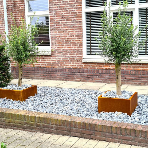 Cortenstaal plantenbak Miami 60x60x30 cm