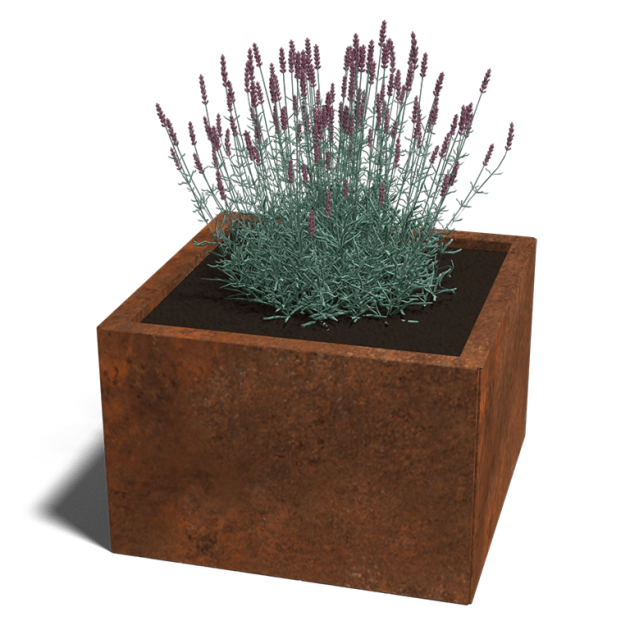 Cortenstaal plantenbak Miami 60x60x40 cm
