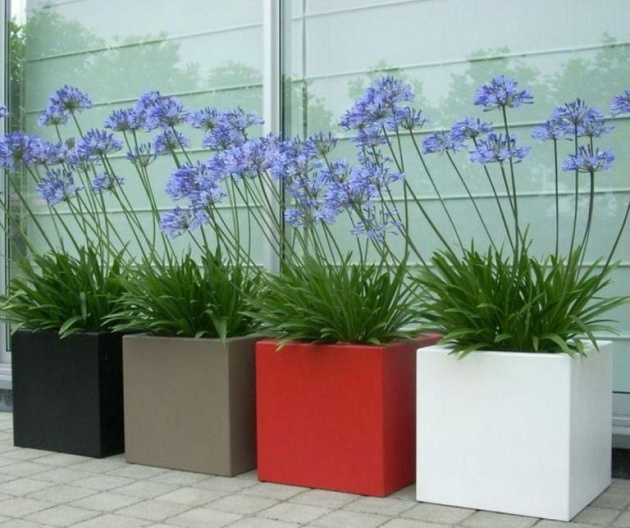 Gepoedercoat staal plantenbak Miami 80x80x30 cm Andere RAL-kleur
