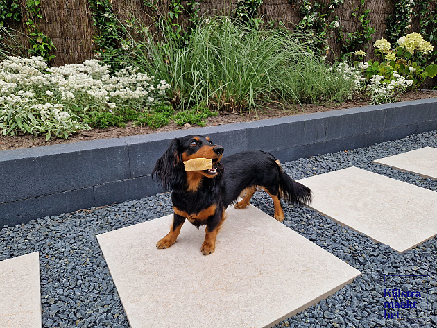 SolidSquare keramisch 60x60x3 cm limerock greige