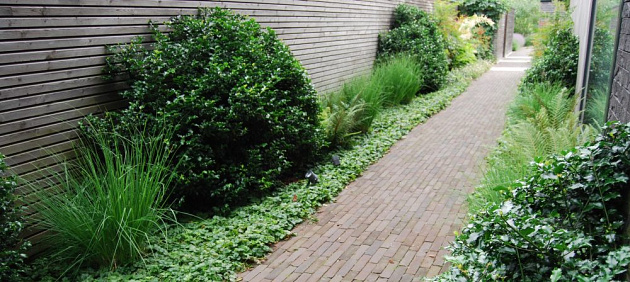 Gebakken Pastorale UWF60 waalformaat