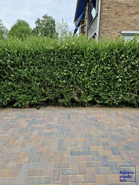 Betonstraatsteen 6 cm oud bussum komo