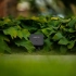 Lightpro Switch Smart (Wi-Fi)