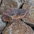 Quarzitische Grauwacke 60/90 mm 1,0 m3