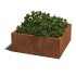 Cortenstaal gelaste plantenbak Montana 100x100x40 cm